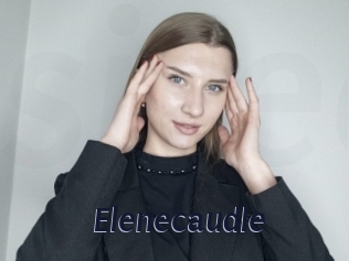 Elenecaudle