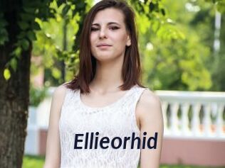 Ellieorhid