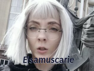 Elsamuscarie