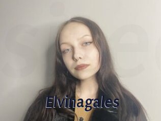 Elvinagales