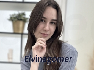 Elvinagomer