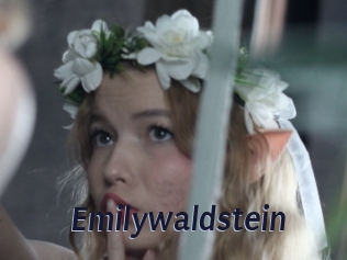 emilywaldstein Site Cul