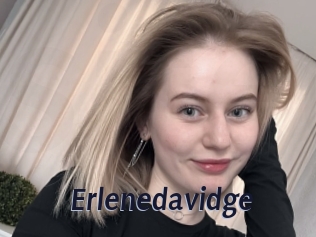erlenedavidge Site Cul