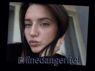 Erlinedangerfiel