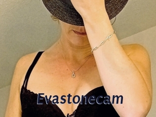 Evastonecam