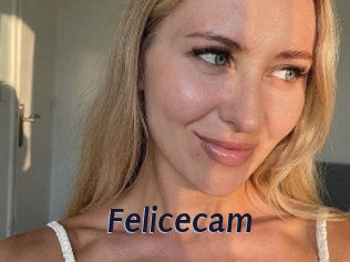 Felicecam