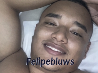 Felipebluws