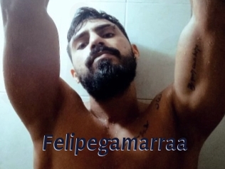 Felipegamarraa