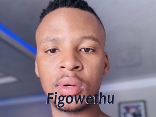 Figowethu