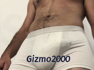 Gizmo2000