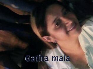 Gatita_mala