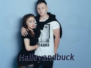 Halleyandbuck