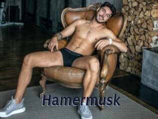 Hamermusk