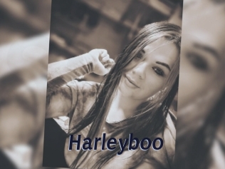 Harleyboo