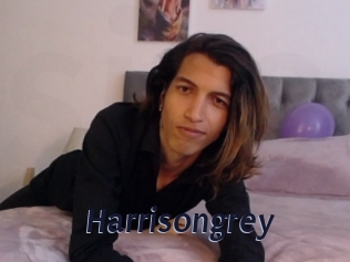 Harrisongrey