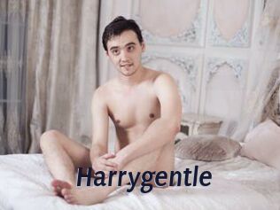 Harrygentle