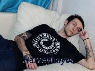Harveyhayes