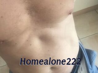 Homealone222