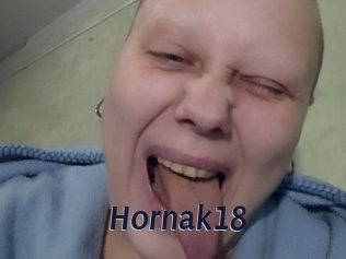 Hornak18