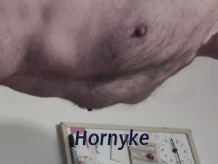 Hornyke