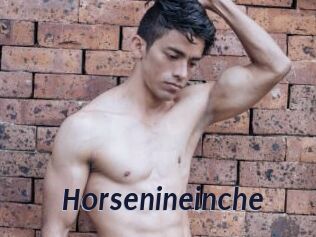 Horsenineinche