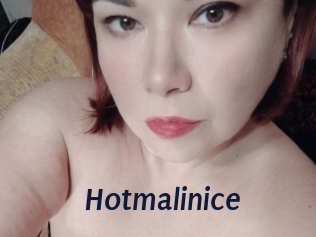 Hotmalinice