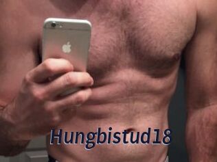 Hungbistud18