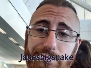 Jakesbigsnake