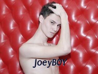 JoeyB0Y