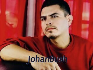 JohanBush