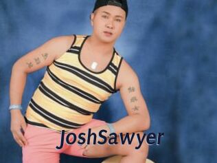 JoshSawyer