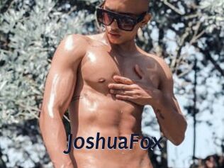 JoshuaFox