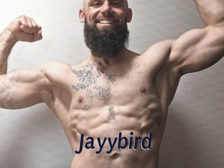 Jayybird