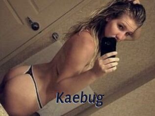 Kaebug