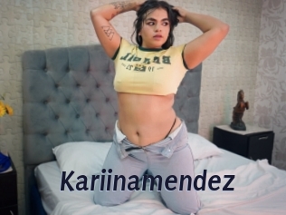 Kariinamendez