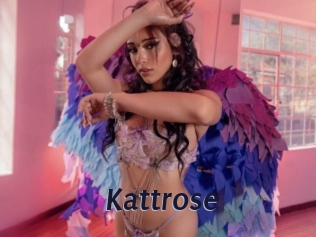 Kattrose