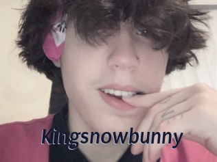 Kingsnowbunny