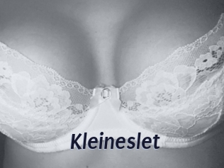 Kleineslet