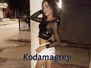 Kodamagrey