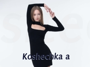 Koshechka_a