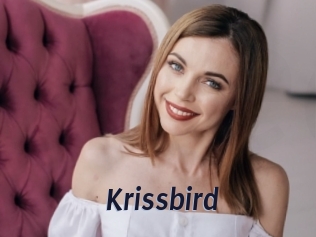 Krissbird