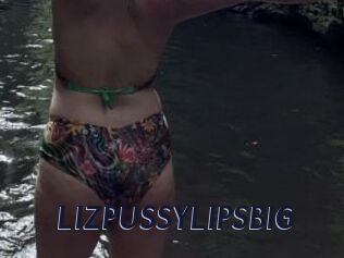 LIZPUSSYLIPSBIG