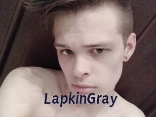 LapkinGray