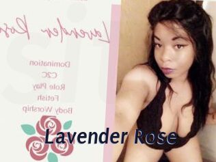 Lavender_Rose