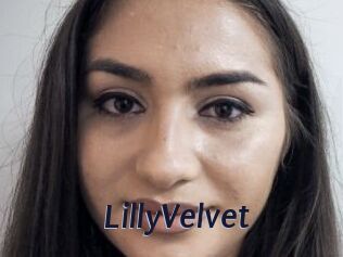 LillyVelvet