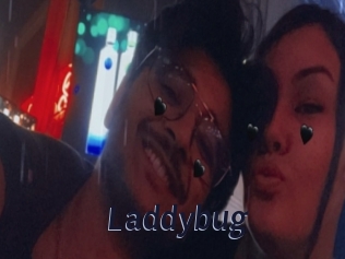 Laddybug