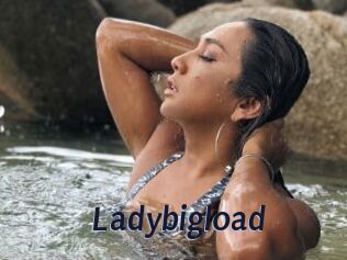 Ladybigload