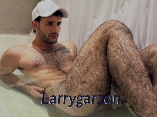 Larrygarzon