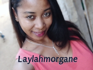 Laylahmorgane