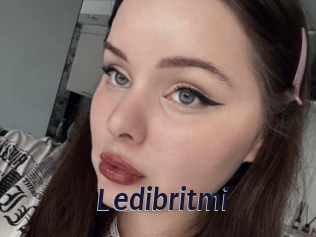 Ledibritmi